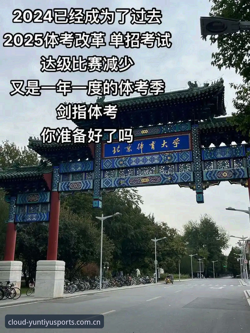 揭秘云体育免费背后的真相：2025全新体验与用户真实反馈